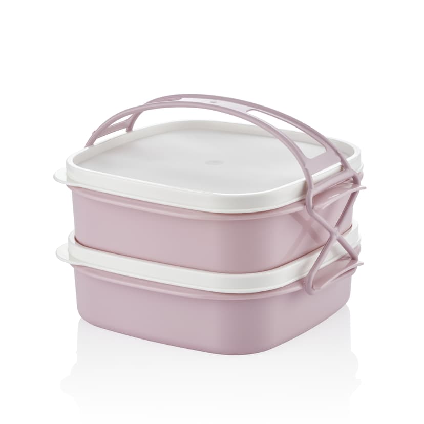 Подвійний ланчбокс Тетра (215х195х153 мм) GT-795 GUSTO