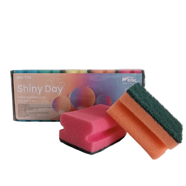 Губка кухонна Shiny Day  5 шт (WERK), 9х6.5х4.5 см