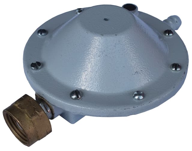 Регулятор тиску РДСГ 1-1,2 (NOVOGAS, Білорусь)