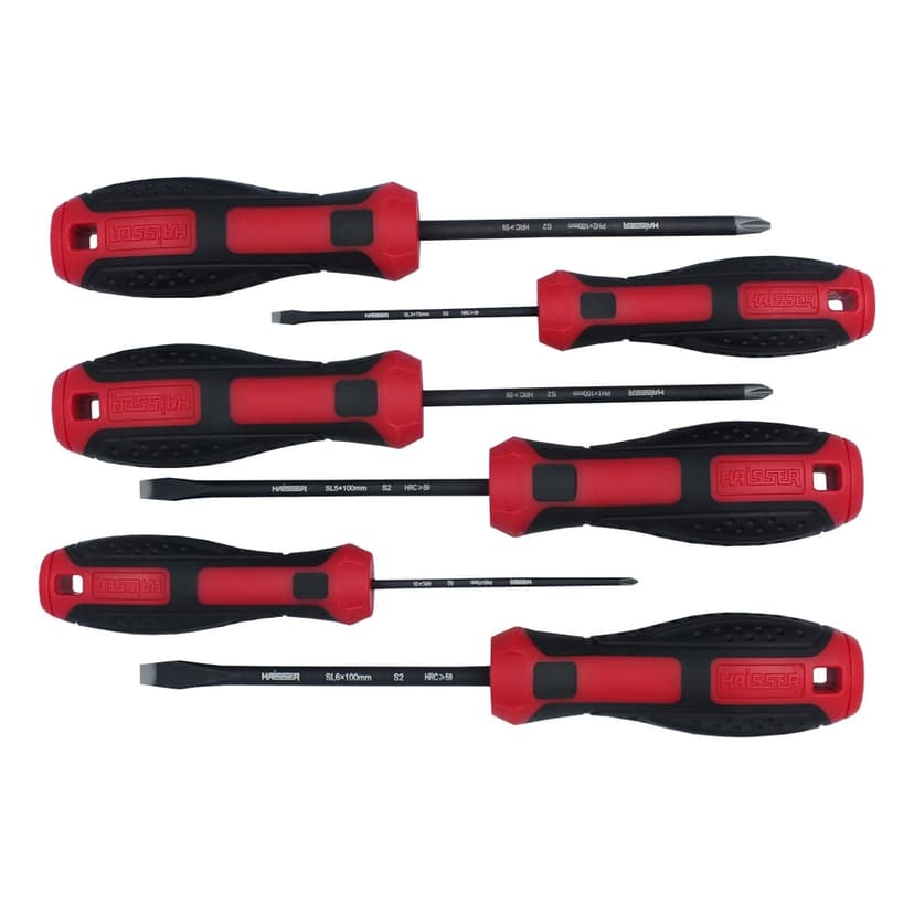 (49132) Набір викруток 6 шт HAISSER