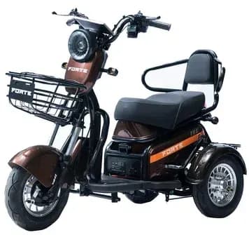 Трицикл акумуляторний S1-P600