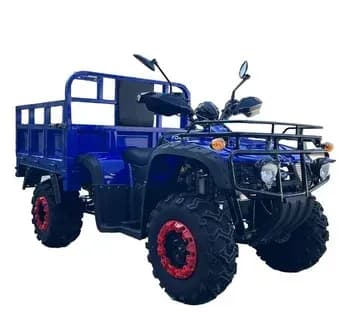 Квадроцикл FORTE ATV-300BS-T