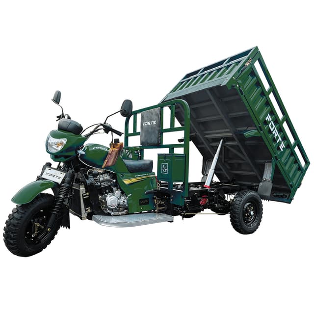 Трицикл вантажний бензиновий FORTE CT-302H, camo