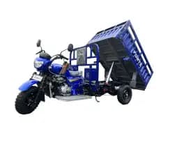 Трицикл вантажний бензиновий FORTE CT-302H, camo