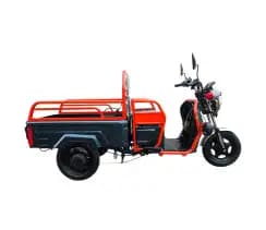 Вантажний електричний трицикл FORTE GP-1000-C Чорний