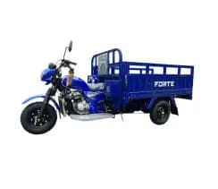 Трицикл вантажний бензиновий FORTE CT-252, camo
