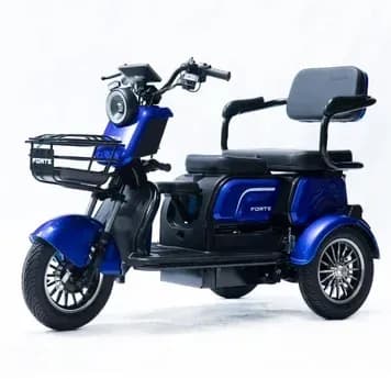 Трицикл акумуляторний FORTE FAMILY-WS1000