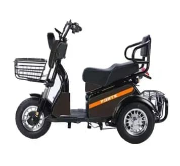 Трицикл акумуляторний Forte S1-WS600