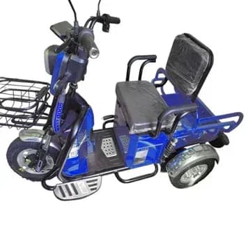 Трицикл акумуляторний FORTE CARGO-WS600