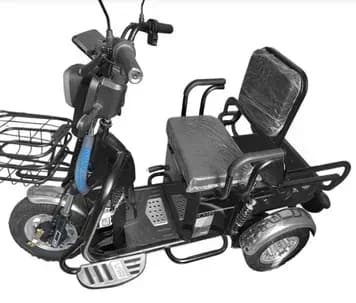 Трицикл акумуляторний FORTE CARGO-WS600